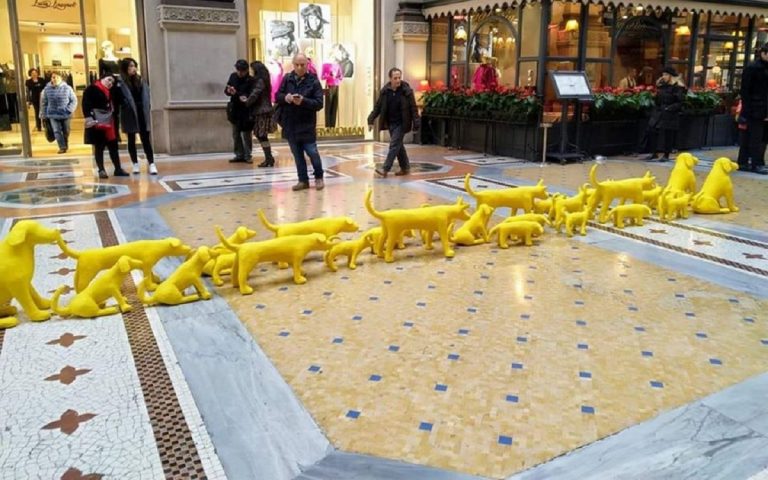 cani gialli galleria milano