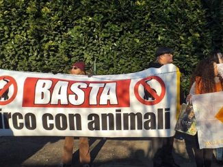 Protesta animalisti contro circo Orfei: “Schiavisti diventate umani”