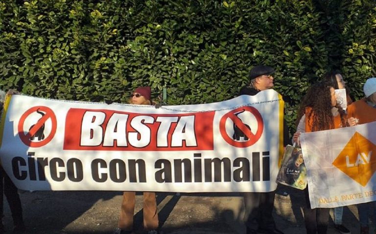 protesta animalisti milano