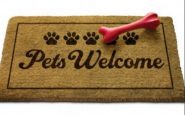 ristoranti pets friendly