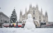 Neve a Milano: è strage di alberi
