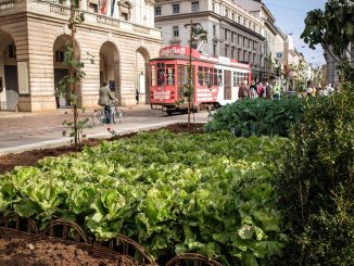 Milano, arriva il garante del verde: vigilerà sul consumo del suolo