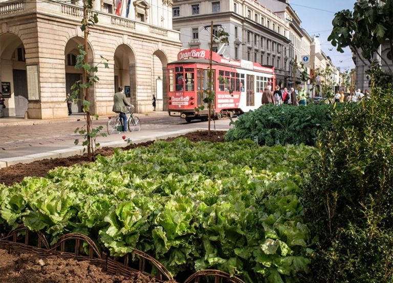 Milano, arriva il garante del verde: vigilerà sul consumo del suolo