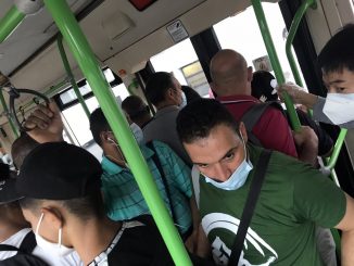 Bus sostitutivi metro verde, Milano