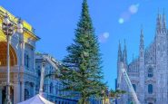 Duomo, albero di Natale