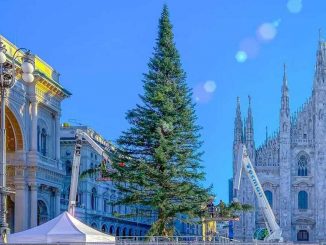 Duomo, albero di Natale