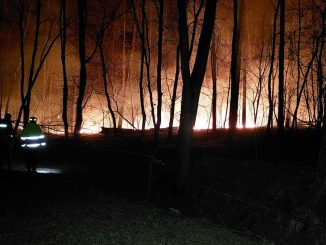 incendio nel parco delle Groane: cos'è successo
