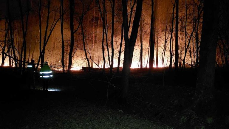 incendio nel parco delle Groane: cos'è successo