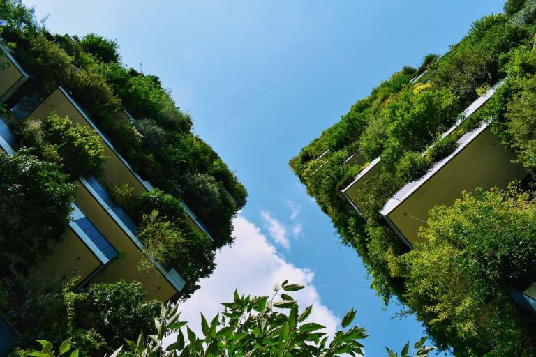 Il progetto verde di Stefano Boeri: il modello Forestami da Milano all'Italia