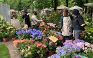 Orticola 2022: la mostra-mercato di fiori e piante torna a Milano