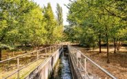Parco Nord, il piano anti-siccità: sarà innaffiato con l'acqua depurata di Bresso