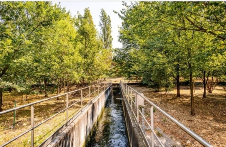Parco Nord, il piano anti-siccità: sarà innaffiato con l'acqua depurata di Bresso