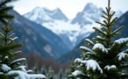 Famiglie che sciano sulle piste della Valtellina