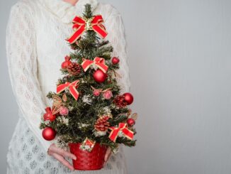 female holding christmas tree decorated with red ornaments 2