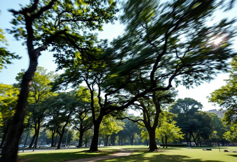 Allerta meteo Milano: chiusura parchi e sicurezza