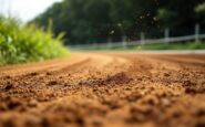 Tensioni politiche sull'Ippodromo La Maura a Milano