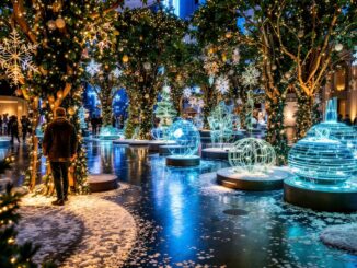 Mostre immersive da visitare a Milano durante il Natale