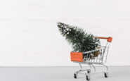 small grocery cart with fir tree 1