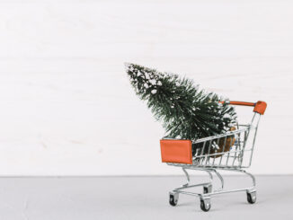 small grocery cart with fir tree 1