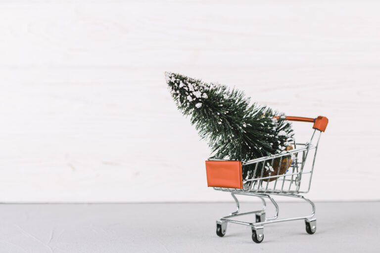 small-grocery-cart-with-fir-tree (1)