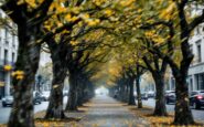 Allerta meteo a Milano con forte vento in arrivo