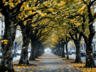 Allerta meteo a Milano con forte vento in arrivo