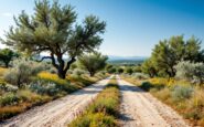 Immagine di un incidente stradale in Puglia con auto danneggiata