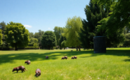 ratti al parco della costituzione come affrontare linfestazione 1750850508