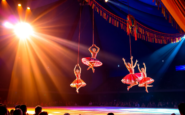 alegria la rivisitazione del cirque du soleil che sorprende a sesto san giovanni python 1755703423