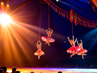 alegria la rivisitazione del cirque du soleil che sorprende a sesto san giovanni python 1755703423