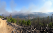 analisi dellincendio al parco delle groane e le sue implicazioni python 1755476941