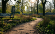 la crisi del parco candia e le sue implicazioni sociali a milano python 1754758851