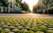 parcheggio spugna un esempio di innovazione nella gestione urbana python 1754270071