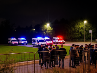 rave party sventato il ruolo delle forze dellordine in unoperazione efficace python 1754756906