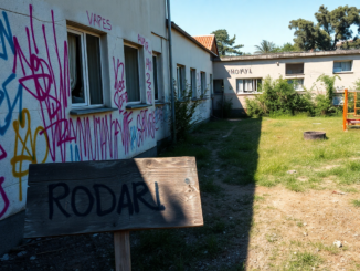 vandalismo scolastico un atto che colpisce tutta la comunita python 1756302301