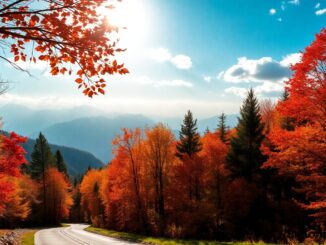 autunno in trentino alto adige lessenza della stagione python 1757400334