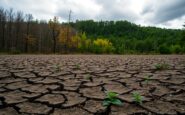 cambiamento climatico cosa non vi dicono python 1758463404