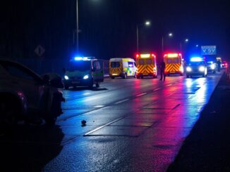 grave incidente a trezzano sul naviglio cosa non ci dicono python 1757766932