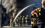 incendio devastante a milano una vittima e un cane in gravi condizioni python 1758427716