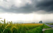 maltempo in lombardia allerta per forti piogge e temporali in arrivo python 1759068693