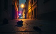 riflessioni sulla violenza di genere e la percezione della sicurezza python 1757706783