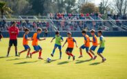 alcione calcio scopri il club emergente nel mondo dello sport python 1759328200