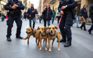 intervento delle guardie zoofile per la protezione degli animali a milano un impegno fondamentale 1767665716