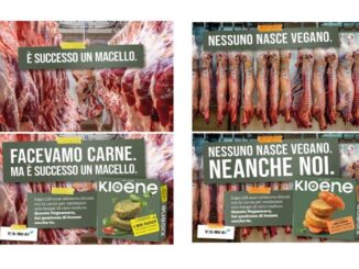 Il plant based cambia linguaggio: strategia e creatività al centro del racconto