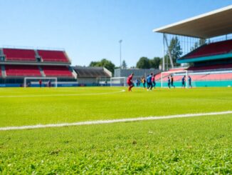 scopri tutto su alcione calcio storia successi e futuro 1768050508