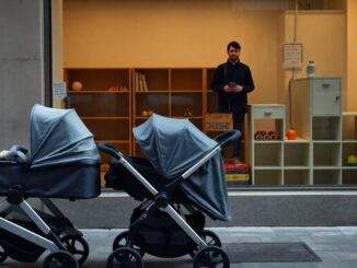 calo delle nascite in lombardia e politiche per i nidi a milano 1770968554