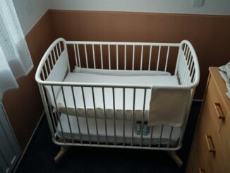 denatalita in lombardia e ruolo dei nidi come rispondere al calo di nascite 1770923415