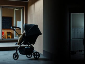 nascite in calo memoria storica e abusi nei nidi il quadro lombardo 1770922742