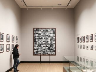 al mudec cento scatti raccontano due secoli di fotografia a milano 1772922661