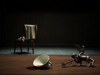 lo spettacolo di emma dante su violenza domestica al teatro manzoni 1773669671